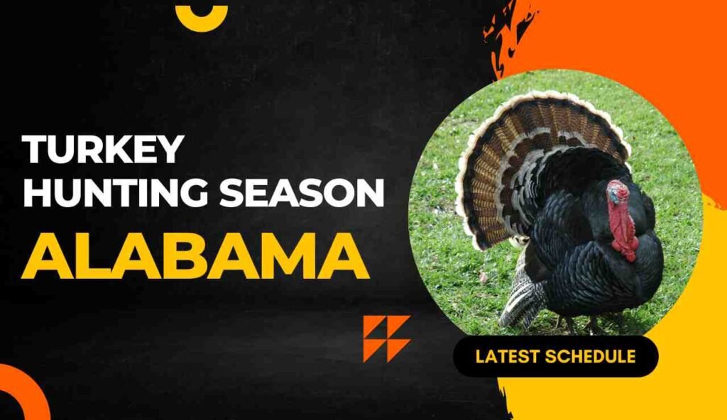 Alabama Turkey Season 2024 Everything You Need TO Know!
