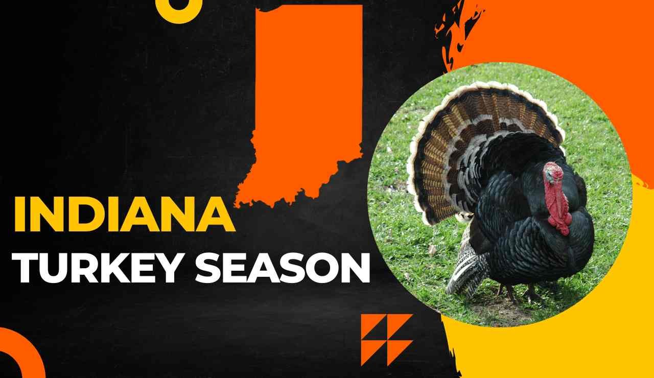 2024 Indiana Turkey Season Nedi Tanhya