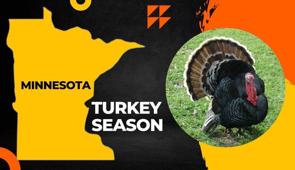 MN Turkey Season 2023 Minnesota Turkey Schedules, License