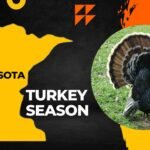 Minnesota Turkey Season