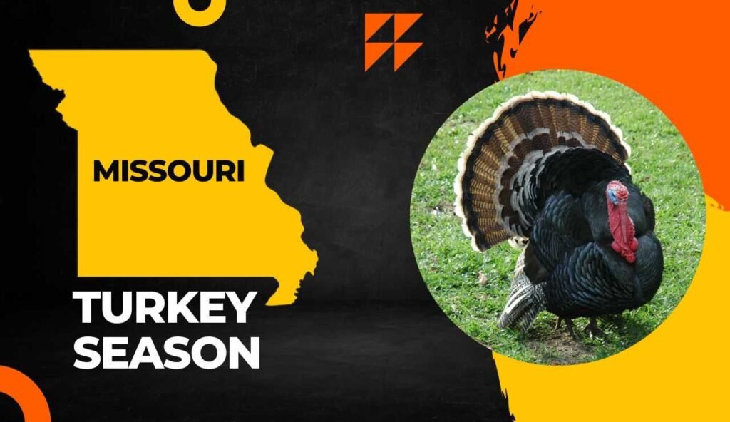 Missouri Turkey Season 20242025 Dates, License, Location & Regulations!