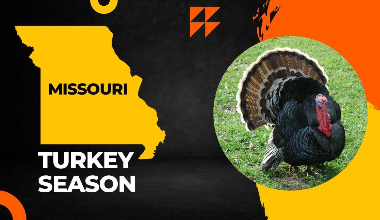 Missouri Turkey Season