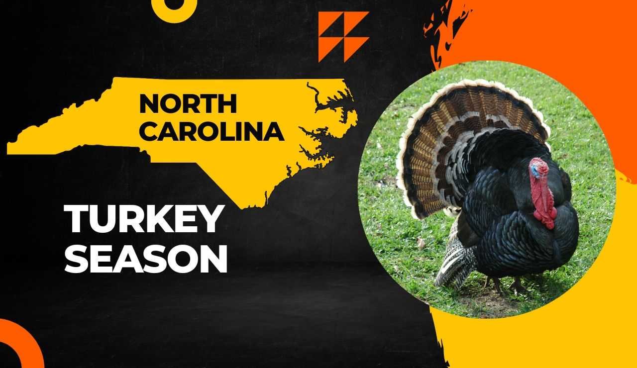 North Carolina Turkey Season 2023 Latest NC Turkey Hunting Dates, Licenses & Regulations!