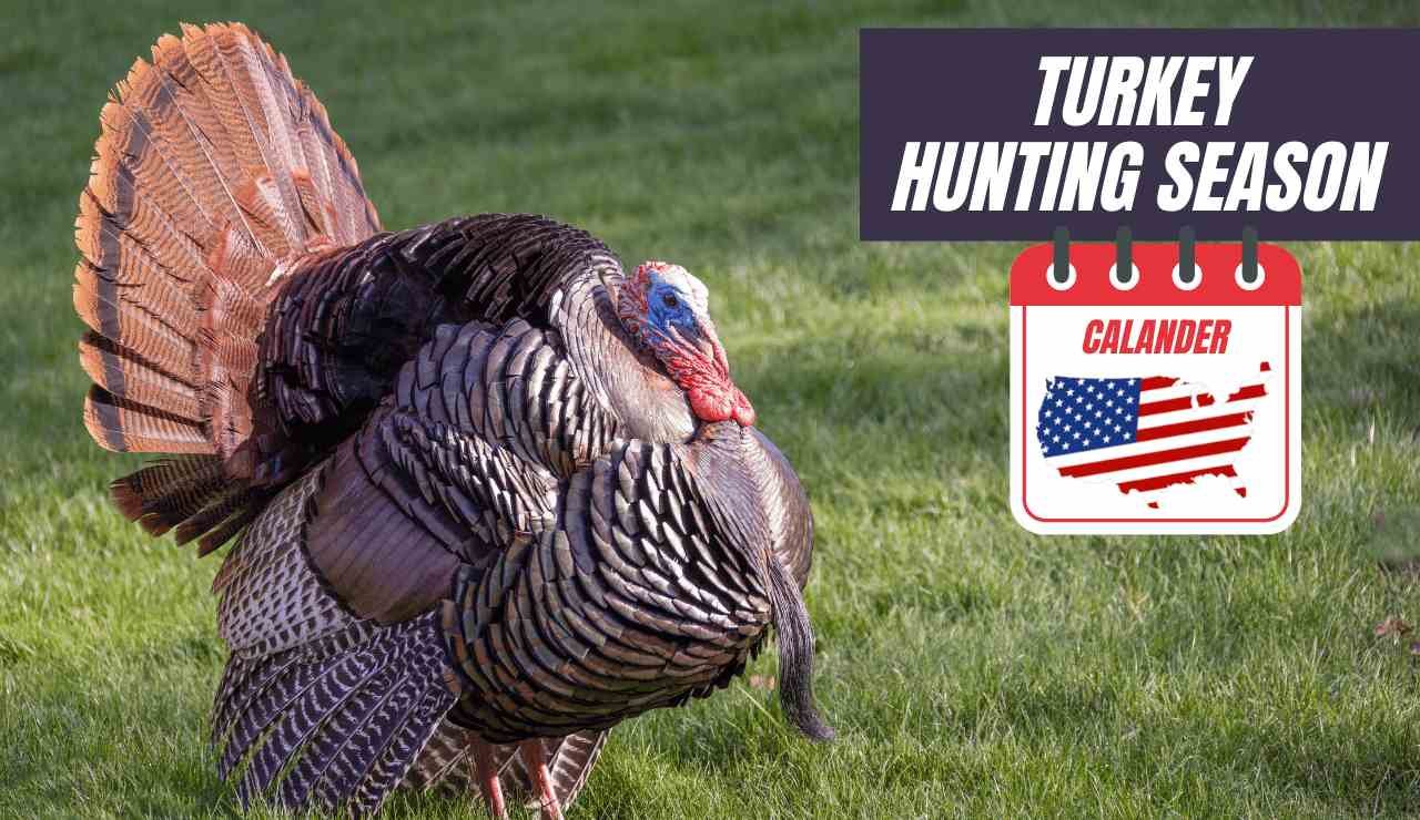 Turkey Hunting Season 20232024 Calendar Dates, Bag Limits