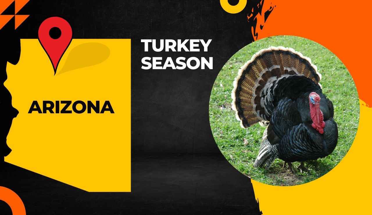 Arizona Turkey Season