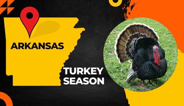 Arkansas Turkey Season