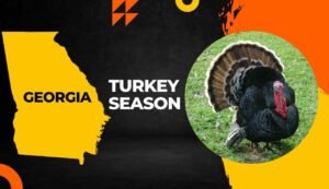 Georgia Turkey Season