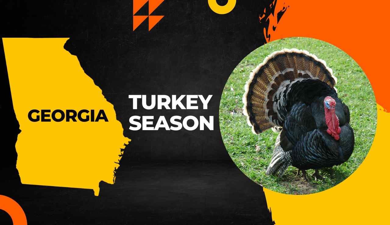 Georgia Turkey Season