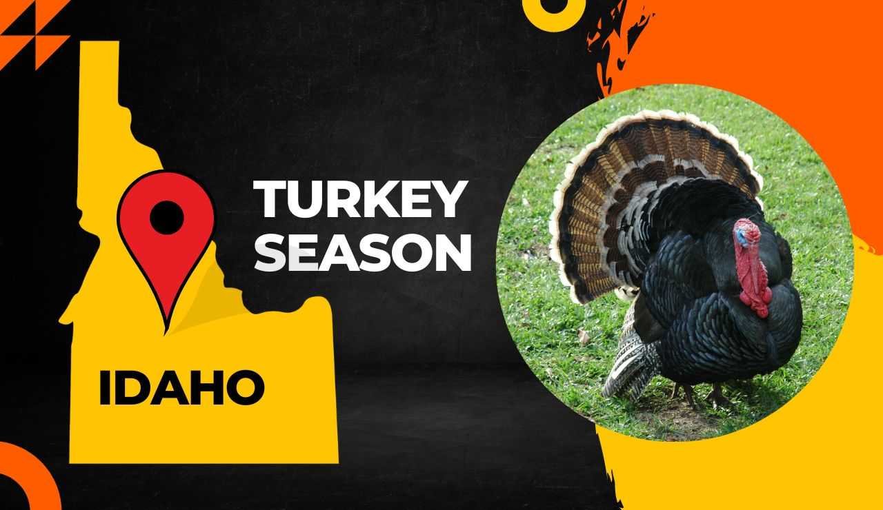 Idaho Turkey Hunting Season