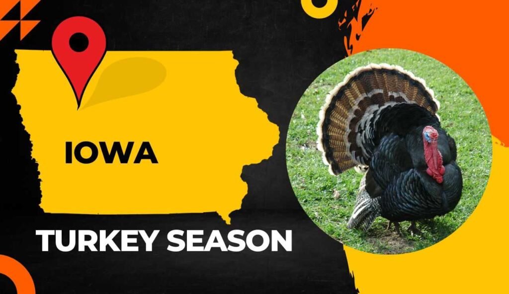 Iowa Turkey Season 2024 Guide [Dates, Regulations, Bags & More!]