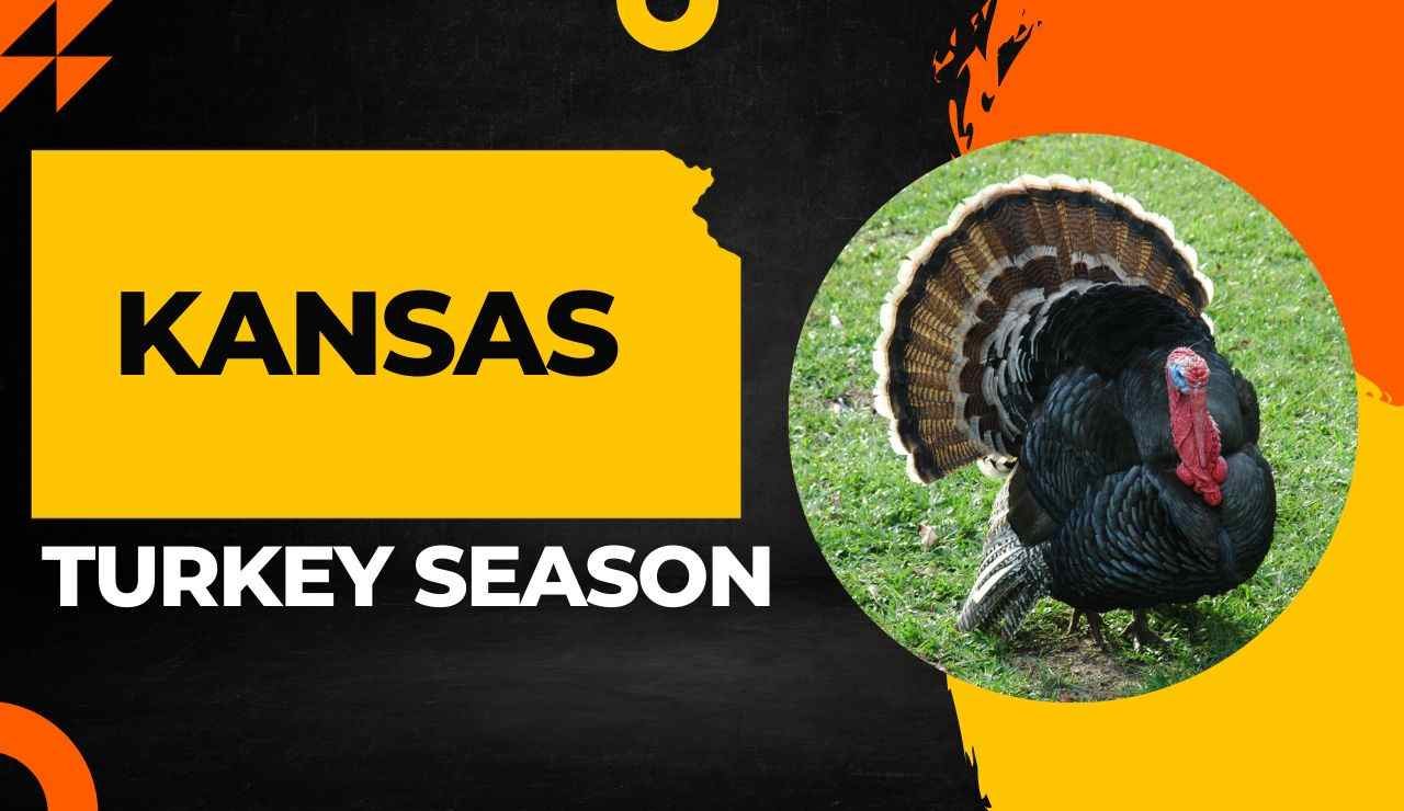 Kansas Turkey Season
