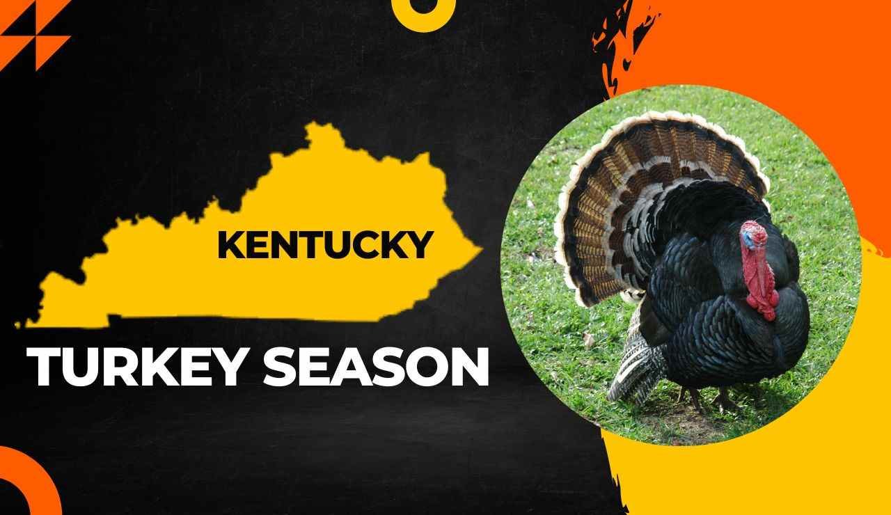 Kentucky Turkey Season 2024 Latest Hunting Dates, Regulations