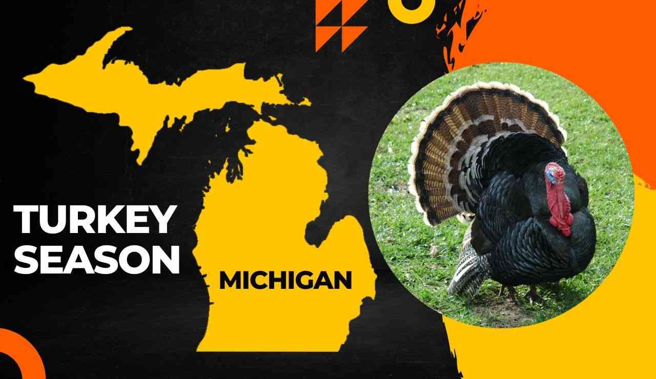 Michigan Turkey Season 2024 Check Latest Hunting Dates, Bags, Licenses
