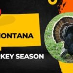 Montana Turkey Season