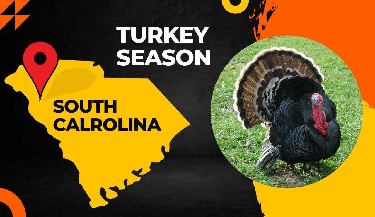 South Carolina Turkey Season