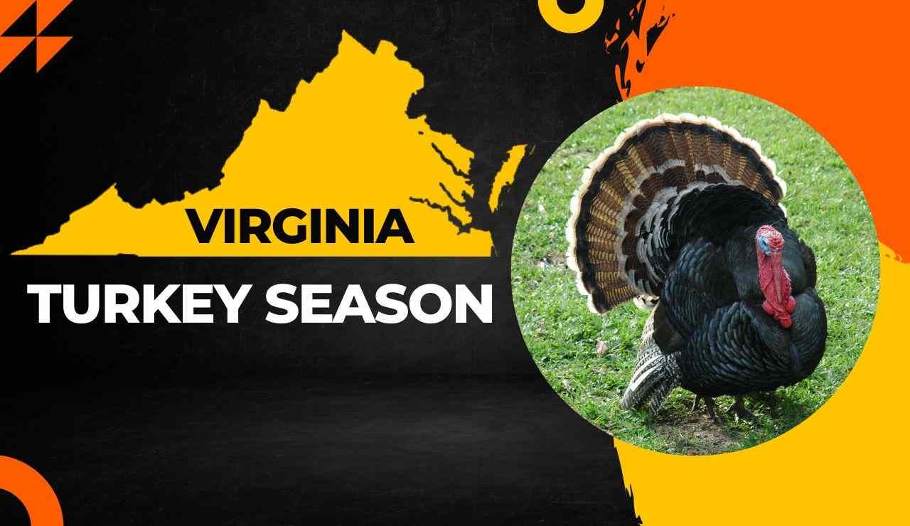 Virginia Turkey Season