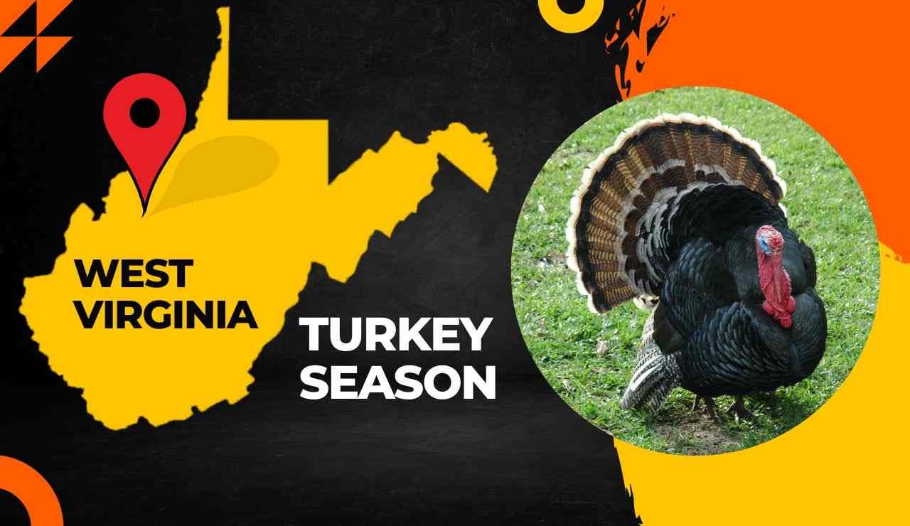 West Virginia Turkey Season