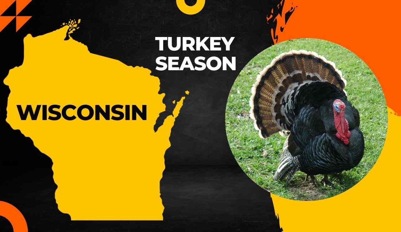 WisconsinTurkey Season