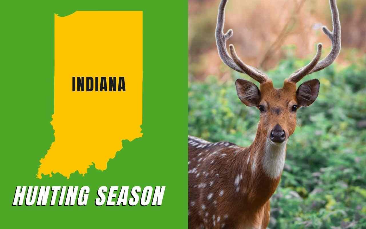 Mark Your Calendars! Indiana Hunting Season 20232024 Guide