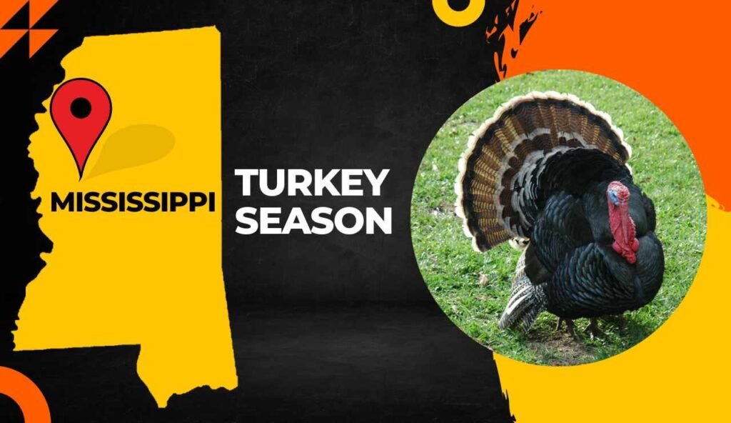 Mississippi Turkey Season 2024 [Dates, Regulations, Bags & More!]