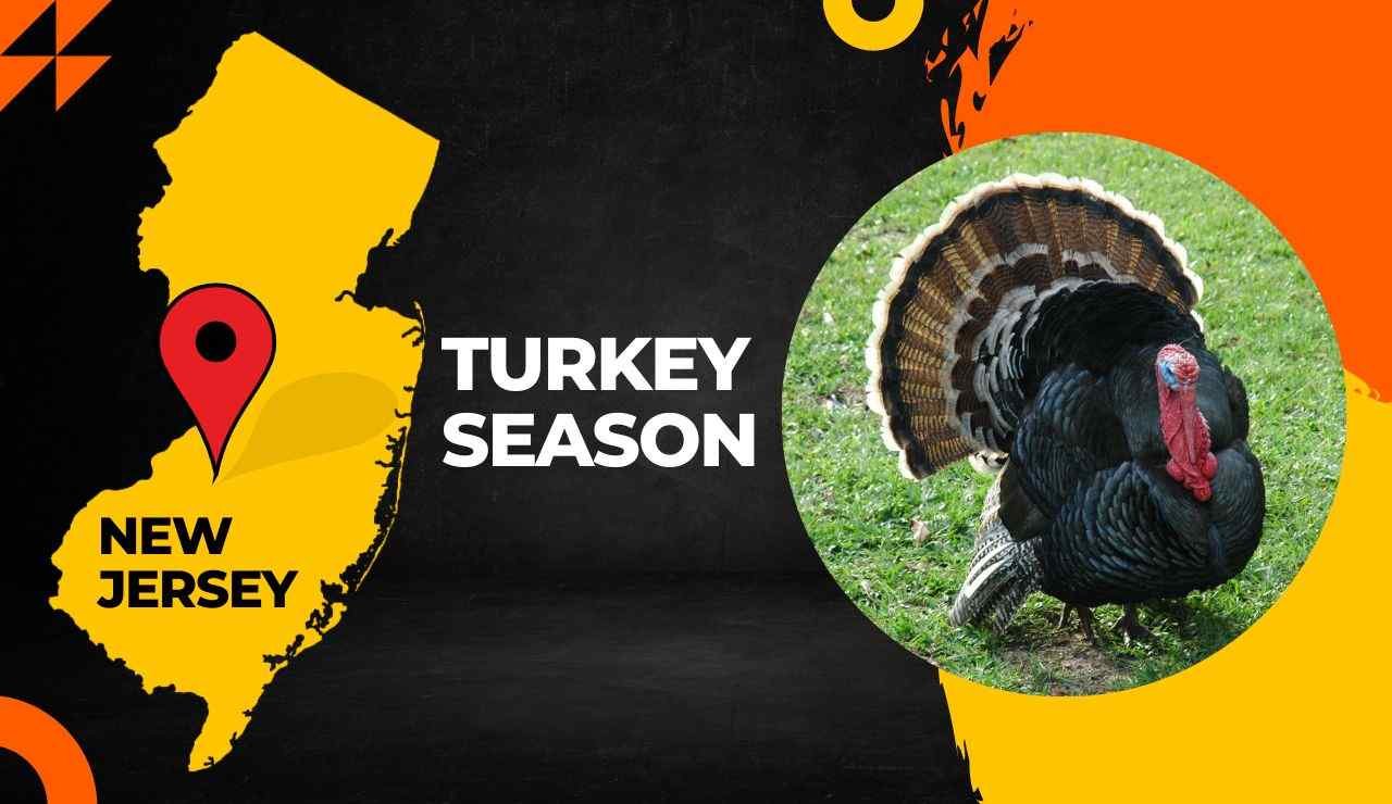 New Jersey Turkey Season
