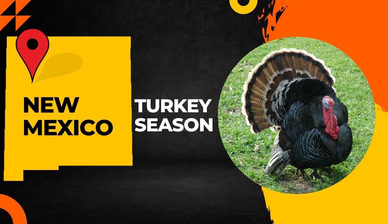 New Mexico Turkey Season 2023 NM Turkey Hunting Guide [ Dates