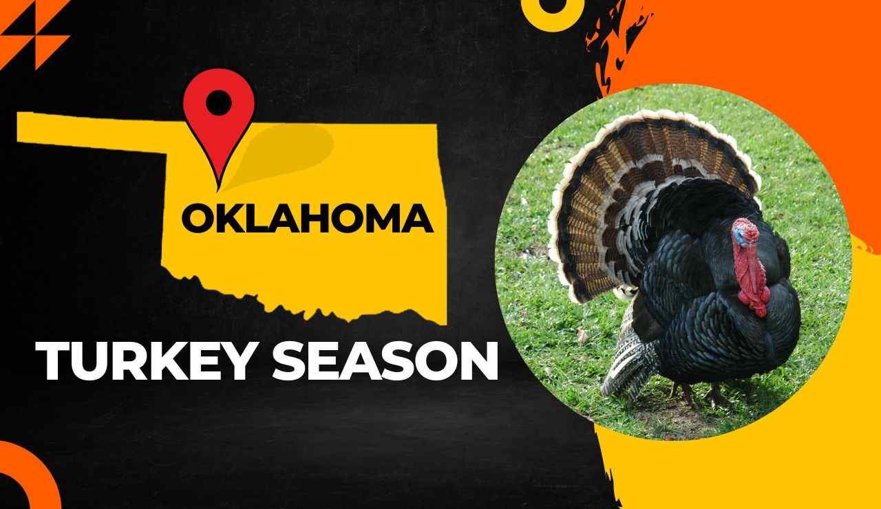 Oklahoma Turkey Season 2023 OK Turkey Hunting Guide [Dates