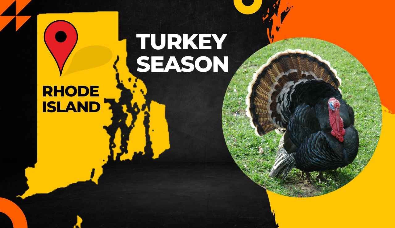 Rhode Island Turkey Season