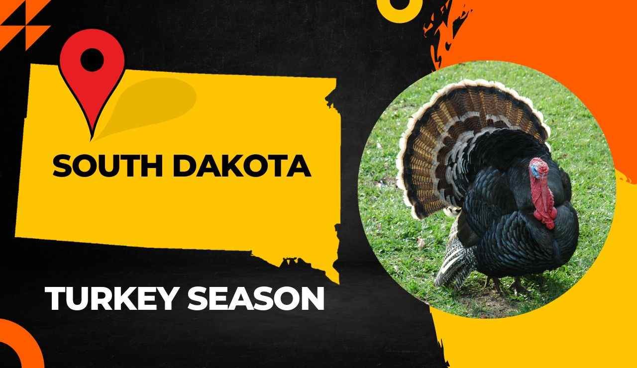South Dakota Turkey Season 2023 SD Turkey Hunting Guide [Dates