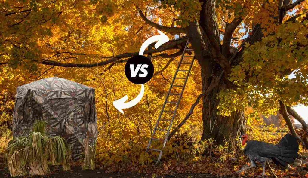 Turkey Hunting Blinds Pros and Cons of Ground Vs Elevated Blinds!