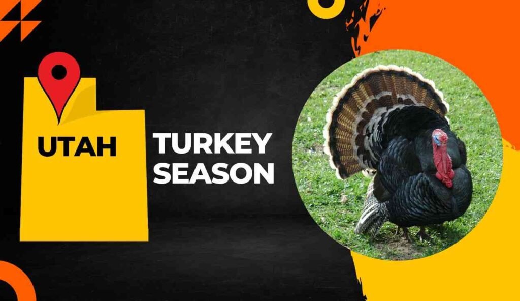 Utah Turkey Season 2023 UT Turkey Hunting Guide [Dates, Regulations