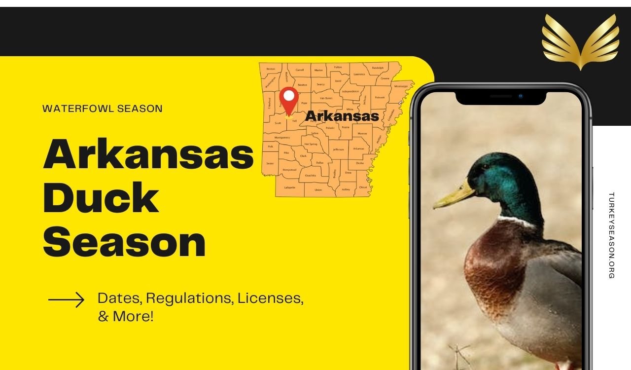 Arkansas Duck Season 20232024 Your Ultimate Guide for Duck Hunting in
