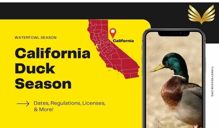 California Duck Season