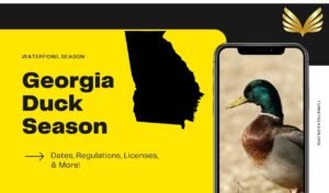 Duck season GA