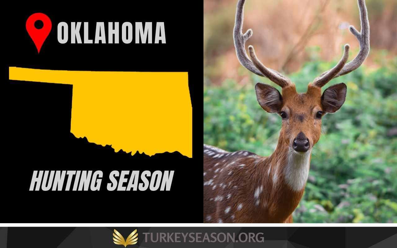 Discover Oklahoma Hunting Season 20232024 A Complete Guide to Dates