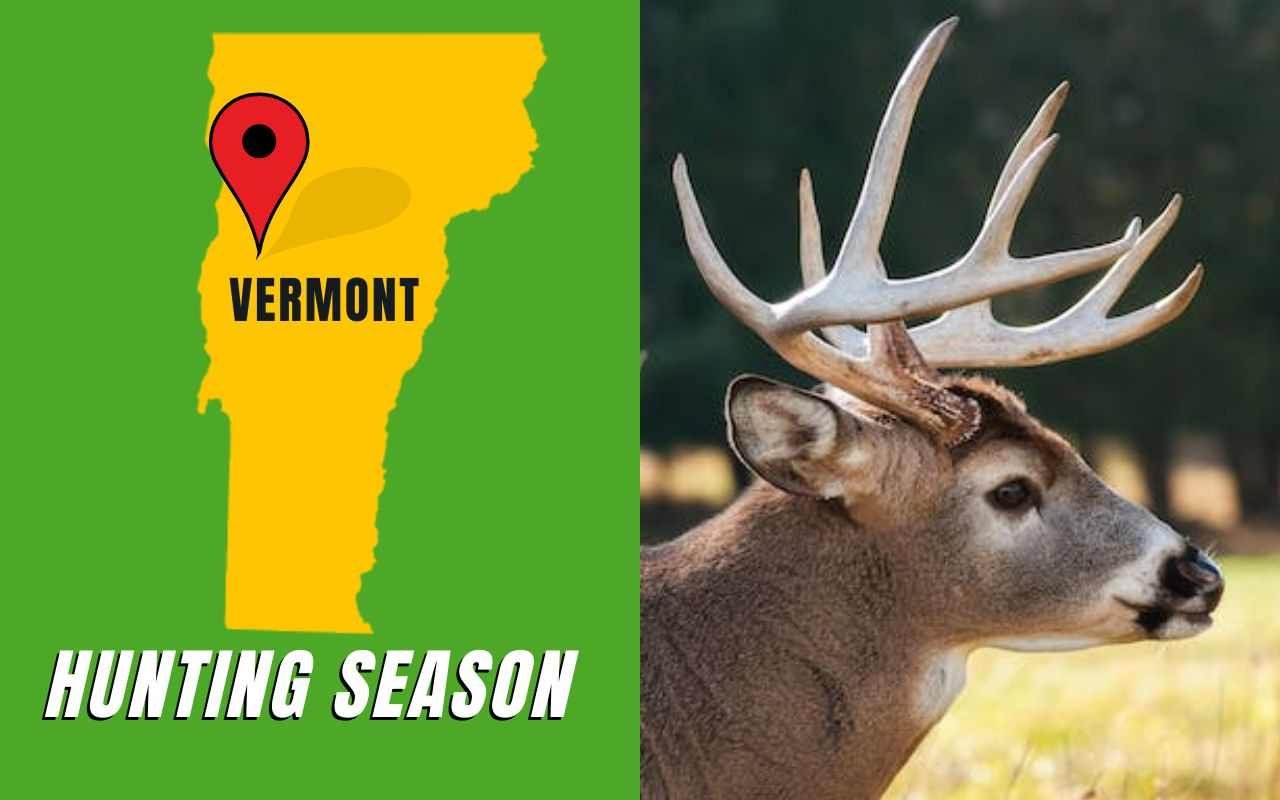 Vermont Hunting Seasons 2025